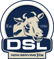 dsl-logo