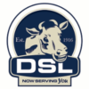DSL