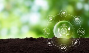 The Game-Changer for Environmentally Conscious Service Supply Chains