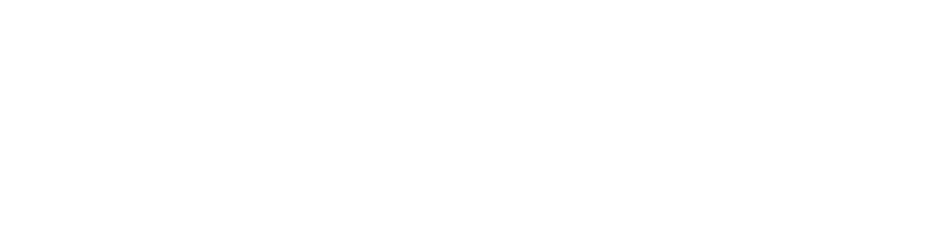 Park-Place-technologies-logo-white